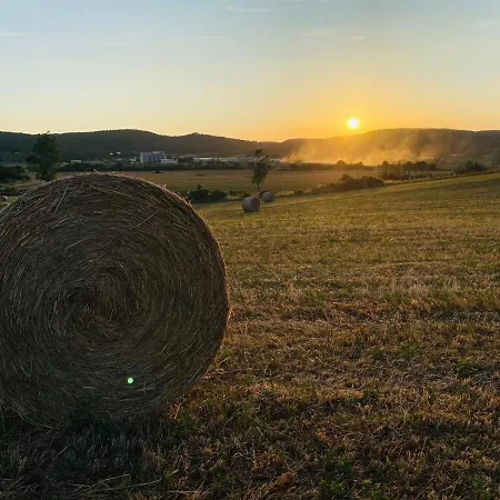 Podere La Selva בית נופש רפולאנו טרמה