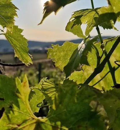 Podere La Selva רפולאנו טרמה