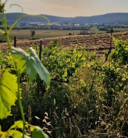 Podere La Selva רפולאנו טרמה