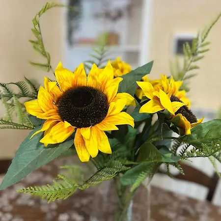 Podere La Selva בית נופש רפולאנו טרמה