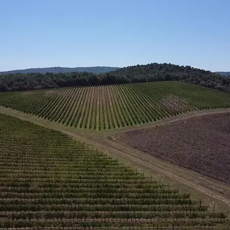 Podere La Selva * 라폴라노테르메