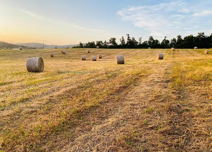 Podere La Selva Ferienhaus *