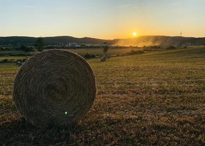 Podere La Selva Ferienhaus Rapolano Terme